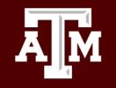 Texas AM University